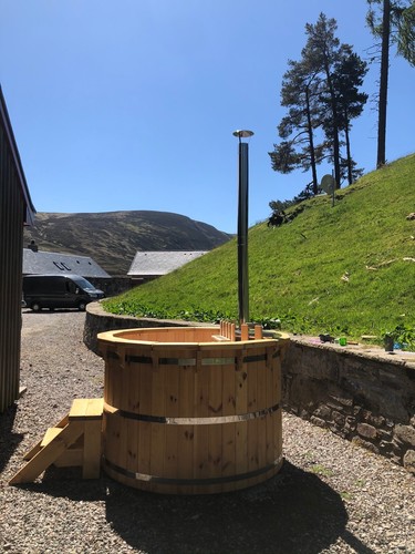 New siberian larch -  siberian,